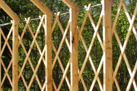 Rafter studs of the yurt